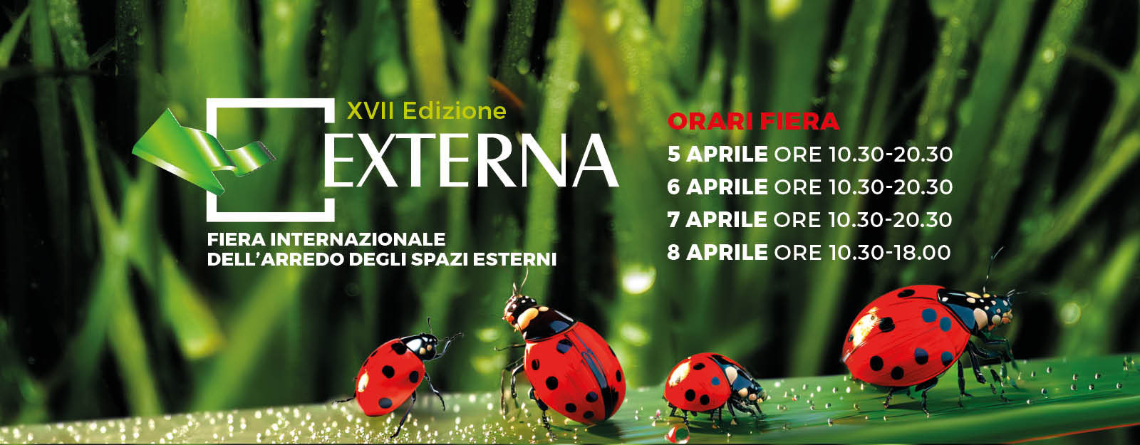 Externa Expo Lecce 2024 – orari