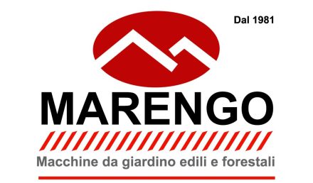 logo marengoWEB